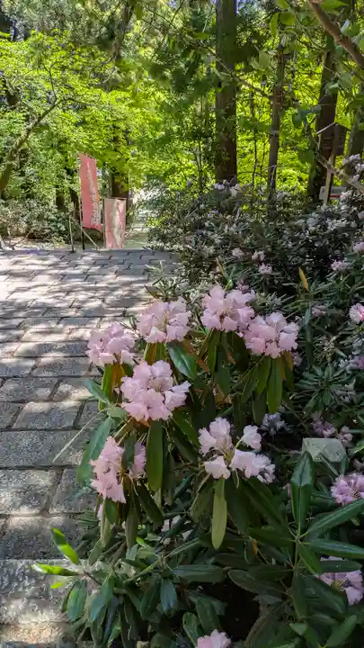 成相寺(京都府)