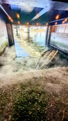 潮見　龍宮社の芸術