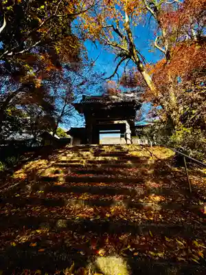安国寺(京都府)
