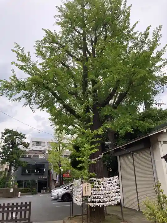 溝口神社(神奈川県)