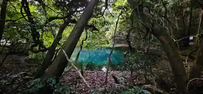 丸池神社(山形県)