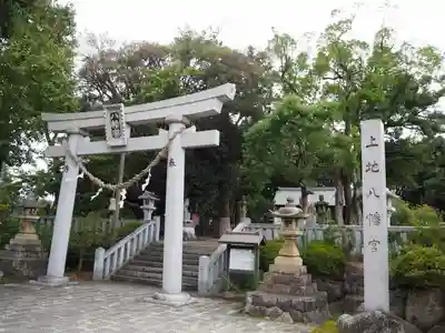 上地八幡宮の鳥居