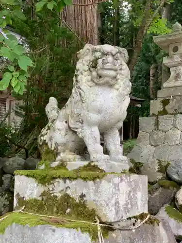 白川八幡神社の狛犬