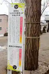 星置神社(北海道)