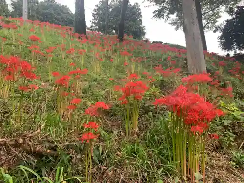 曹洞宗 永松山 龍泉寺の自然