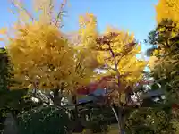 常葉神社(岐阜県)