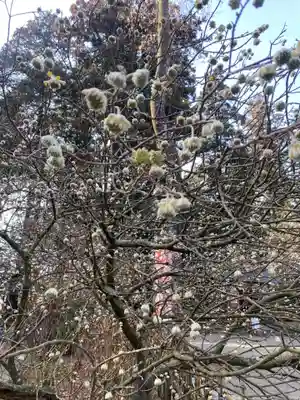 芳賀天満宮(栃木県)