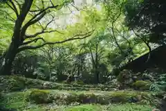 神上寺(山口県)