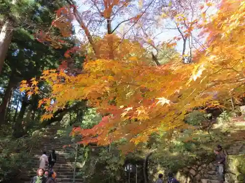 室生寺の自然