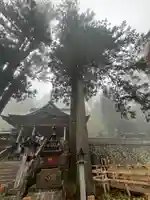三峯神社(埼玉県)