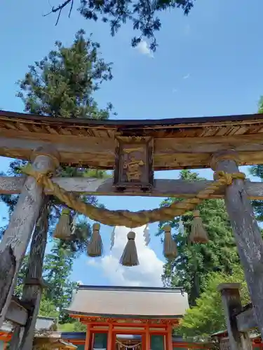 出石神社の鳥居