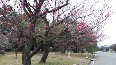 白雲神社(京都府)