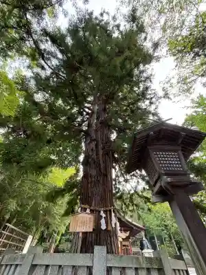 諏訪大社下社秋宮(長野県)