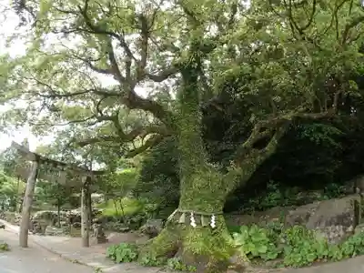 立磐神社のその他建物