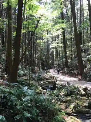 天の岩戸神社の周辺