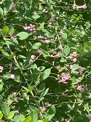 梨木神社(京都府)