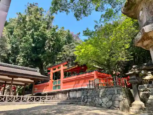 春日大社 若宮（春日若宮）(奈良県)