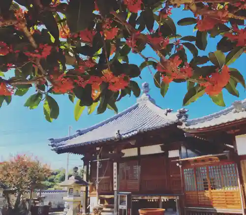 真言宗　善通寺派　薬王寺(香川県)