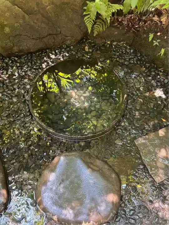 明治神宮(東京都)