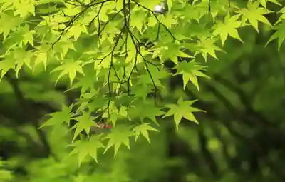 神峯山寺(大阪府)
