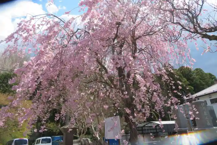 月心院(福島県)
