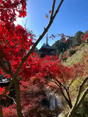 常樂寺(滋賀県)