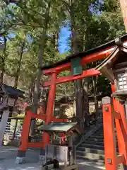 日枝神社の鳥居