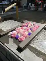 根岸八幡神社(神奈川県)