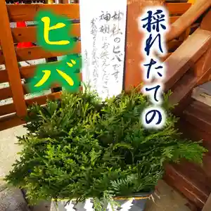 七重浜海津見神社(北海道)(2025年11月28日(金) 08時19分51秒投稿)