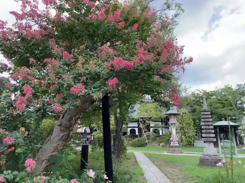 金蔵寺(神奈川県)