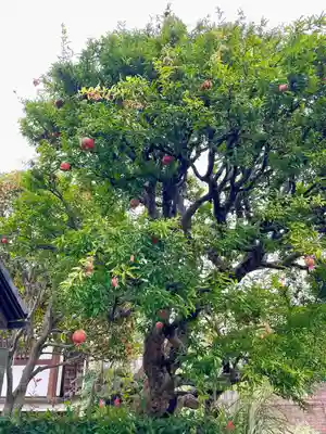 明王院(東京都)