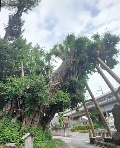 五所神社(神奈川県)