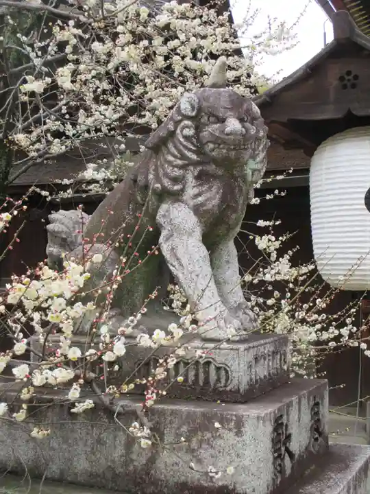 北野天満宮(京都府)