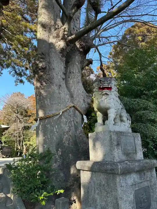 比々多神社の{uncategorized: "未分類", other: "その他", undefined: "問題あり", building: "その他建物", grave: "お墓", sacred_gate: "鳥居", guardian: "狛犬", statue: "像", buddha: "仏像", history: "歴史", nature: "自然", garden: "庭園", animal: "動物", pagoda: "塔", temizu: "手水舎", mountain_gate: "山門・神門", sanctuary: "本殿・本堂", subordinate: "末社・摂社", art: "芸術", scenery: "景色", jizo: "地蔵", ema: "絵馬", goshuin: "御朱印", omikuji: "おみくじ", items: "授与品その他", amulet: "お守り", goshuincho: "御朱印帳", eats: "食事", festival: "お祭り", votive_dance: "神楽", shichigosan: "七五三参", wedding: "結婚式", experience: "体験その他", initially: "初詣", around: "周辺", anti_infection: "感染症対策"}