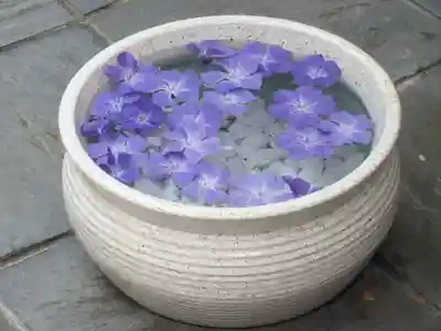 立志神社のその他建物