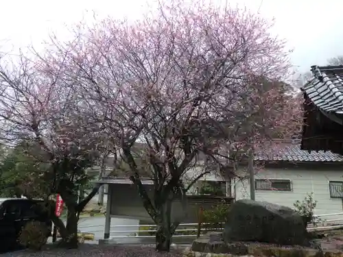 長田神社の自然