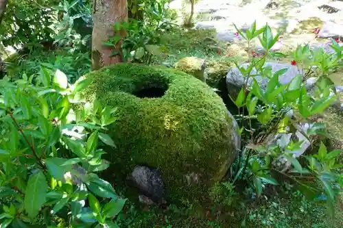 當麻寺中之坊の庭園