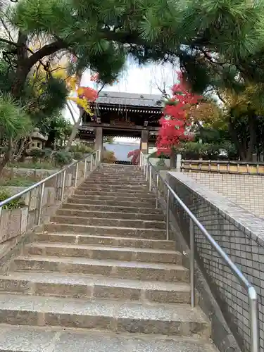 法輪寺の山門