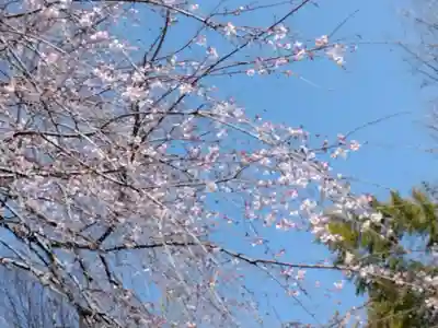 相頓寺(埼玉県)