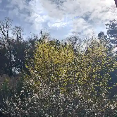円覚寺の{uncategorized: "未分類", other: "その他", undefined: "問題あり", building: "その他建物", grave: "お墓", sacred_gate: "鳥居", guardian: "狛犬", statue: "像", buddha: "仏像", history: "歴史", nature: "自然", garden: "庭園", animal: "動物", pagoda: "塔", temizu: "手水舎", mountain_gate: "山門・神門", sanctuary: "本殿・本堂", subordinate: "末社・摂社", art: "芸術", scenery: "景色", jizo: "地蔵", ema: "絵馬", goshuin: "御朱印", omikuji: "おみくじ", items: "授与品その他", amulet: "お守り", goshuincho: "御朱印帳", eats: "食事", festival: "お祭り", votive_dance: "神楽", shichigosan: "七五三参", wedding: "結婚式", experience: "体験その他", initially: "初詣", around: "周辺", anti_infection: "感染症対策"}