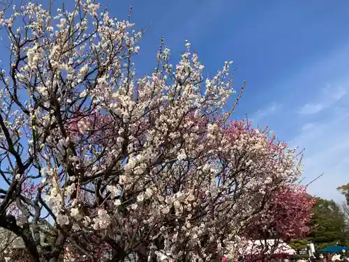 曽根天満宮の自然