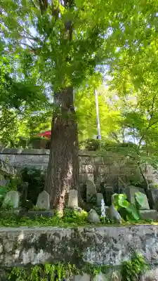 鹿児島神社の{uncategorized: "未分類", other: "その他", undefined: "問題あり", building: "その他建物", grave: "お墓", sacred_gate: "鳥居", guardian: "狛犬", statue: "像", buddha: "仏像", history: "歴史", nature: "自然", garden: "庭園", animal: "動物", pagoda: "塔", temizu: "手水舎", mountain_gate: "山門・神門", sanctuary: "本殿・本堂", subordinate: "末社・摂社", art: "芸術", scenery: "景色", jizo: "地蔵", ema: "絵馬", goshuin: "御朱印", omikuji: "おみくじ", items: "授与品その他", amulet: "お守り", goshuincho: "御朱印帳", eats: "食事", festival: "お祭り", votive_dance: "神楽", shichigosan: "七五三参", wedding: "結婚式", experience: "体験その他", initially: "初詣", around: "周辺", anti_infection: "感染症対策"}