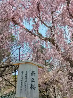 賀茂別雷神社（上賀茂神社）(京都府)