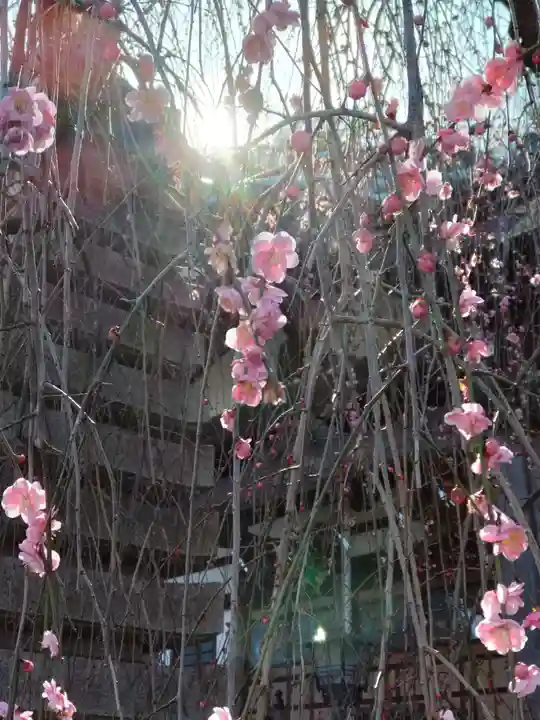 圓通寺(円通寺)の庭園