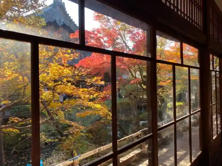 禅林寺(永観堂)の本殿・本堂