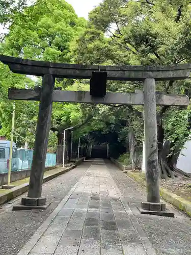 渋谷氷川神社(東京都)