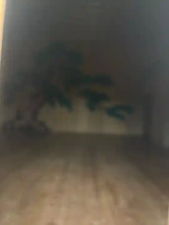 春日神社(佐渡相川下戸)(新潟県)