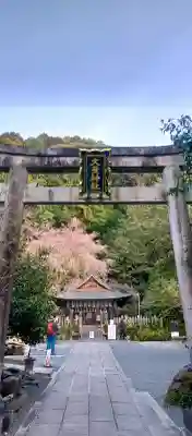 大豊神社の{uncategorized: "未分類", other: "その他", undefined: "問題あり", building: "その他建物", grave: "お墓", sacred_gate: "鳥居", guardian: "狛犬", statue: "像", buddha: "仏像", history: "歴史", nature: "自然", garden: "庭園", animal: "動物", pagoda: "塔", temizu: "手水舎", mountain_gate: "山門・神門", sanctuary: "本殿・本堂", subordinate: "末社・摂社", art: "芸術", scenery: "景色", jizo: "地蔵", ema: "絵馬", goshuin: "御朱印", omikuji: "おみくじ", items: "授与品その他", amulet: "お守り", goshuincho: "御朱印帳", eats: "食事", festival: "お祭り", votive_dance: "神楽", shichigosan: "七五三参", wedding: "結婚式", experience: "体験その他", initially: "初詣", around: "周辺", anti_infection: "感染症対策"}