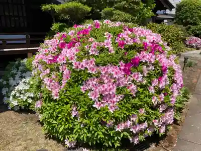 大昌寺(東京都)