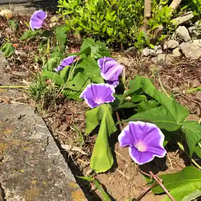 成田山神護寺(埼玉県)
